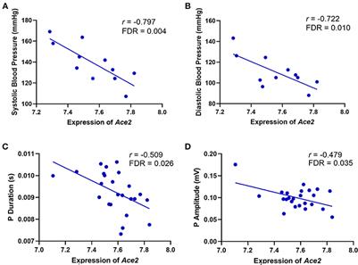 The Genetic Dissection of Ace2 Expression Variation in the Heart of Murine Genetic Reference Population